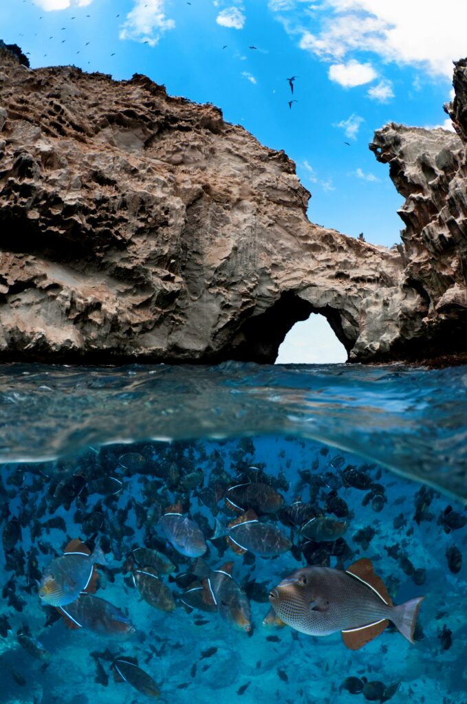 Ascension Island's marine environment. Photo: Paul Colley