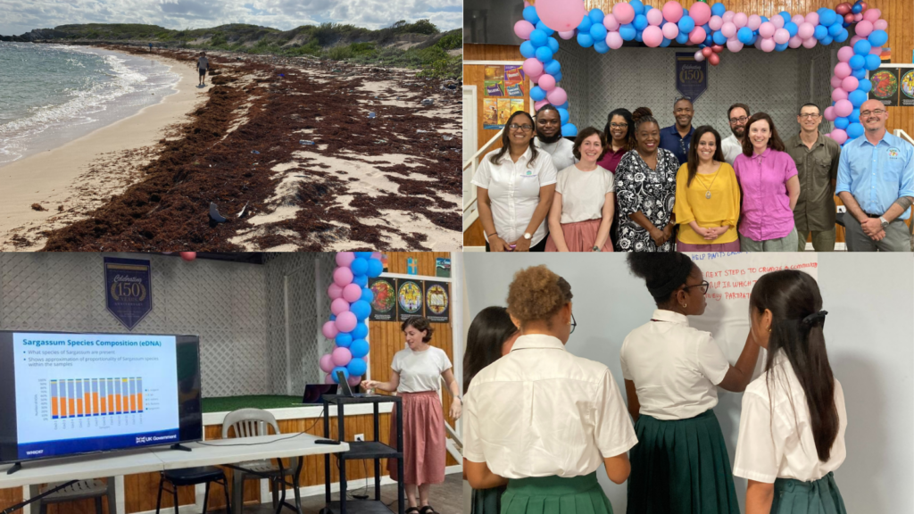 Collage of photos from the Turks & Caicos Sargassum workshop